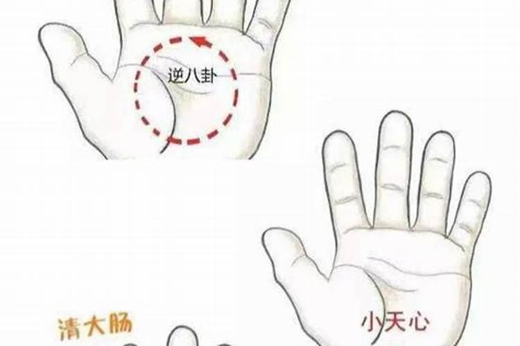 小儿节气推拿都需要推哪个节气