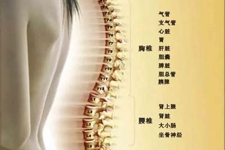 灸透后背4个穴,彻底赶跑一身风寒!还能打通气血