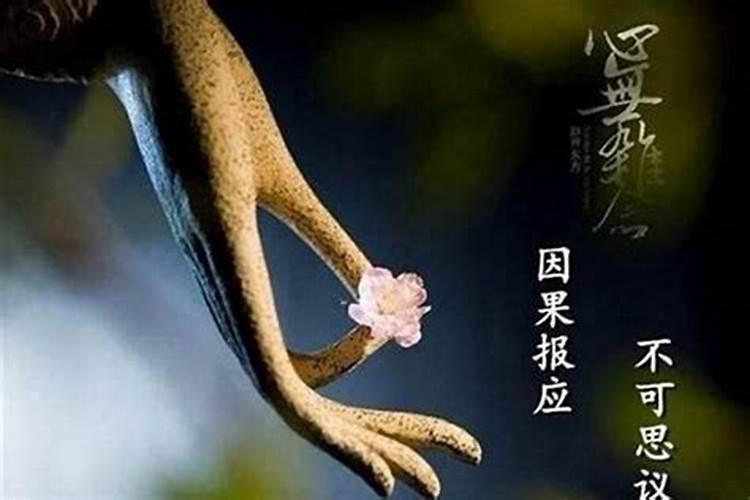 1988年大林木命是什么意思？