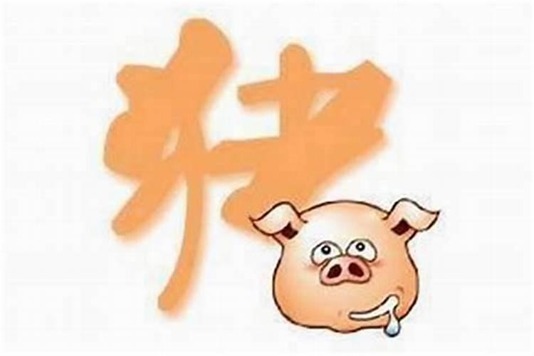 1995年到底是木还是火？1995年是火猪还是木猪？