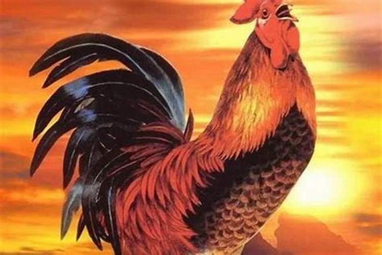 69年鸡男2025年运势和每月运程