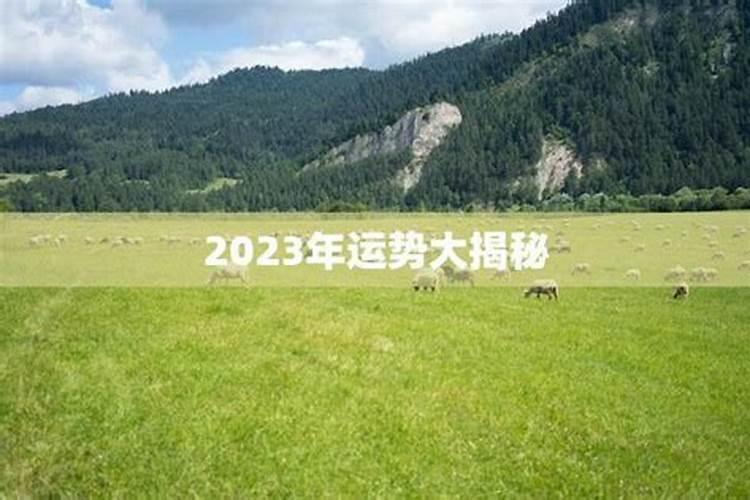 1991年属羊一生有几次大的劫 应该如何化解？
