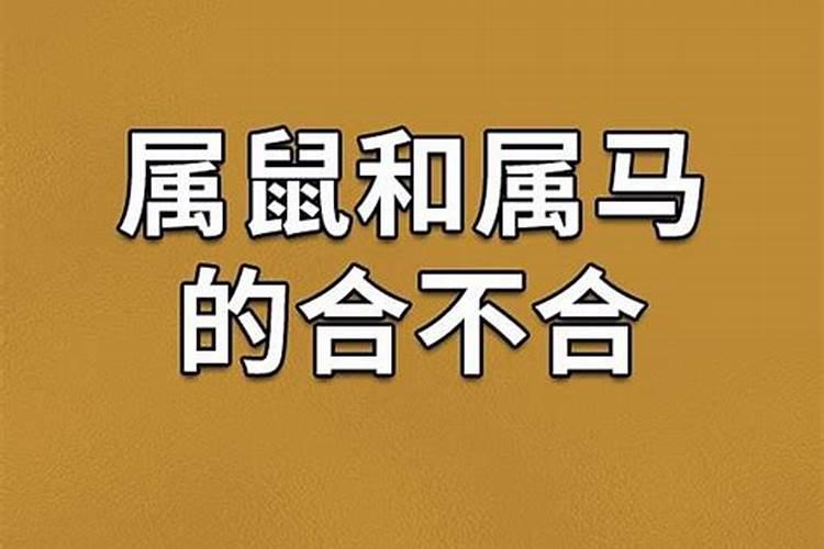 属马人2023下半年的事业运势 90属马女2023事业运如何