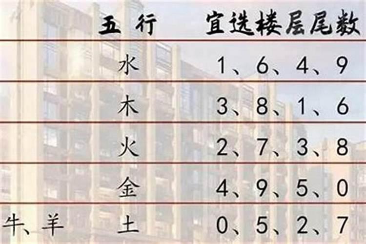 依属相选楼层及楼位置：风水学视角下的居住选择指南