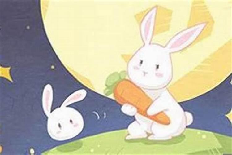兔年养猫，运势如何？——探索属兔人养猫的风水影响