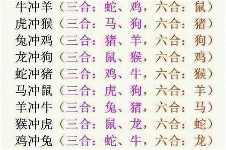 牛马生肖合：探索相性与和谐的奥秘