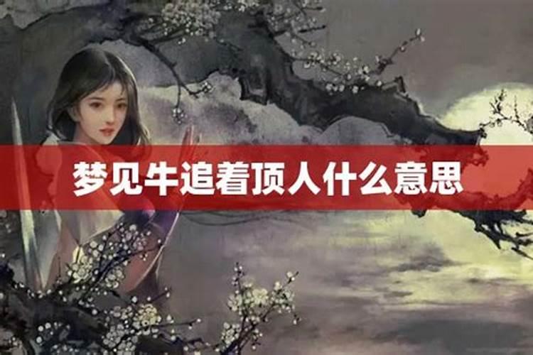 梦到牛顶人但是没顶自己什么意思？