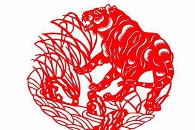 属虎的几月犯月男？