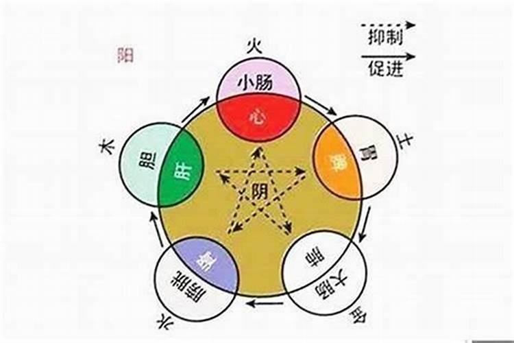 世五行属性是什么