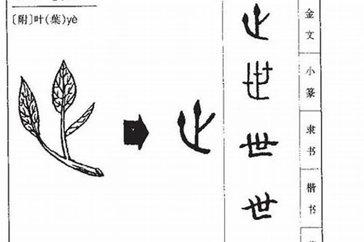 世字五行属什么