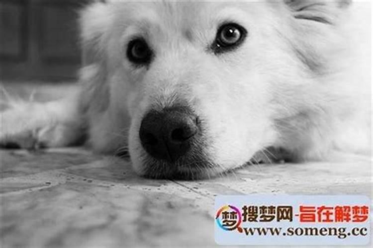 属相与住房楼层之间的联系住房几层最好