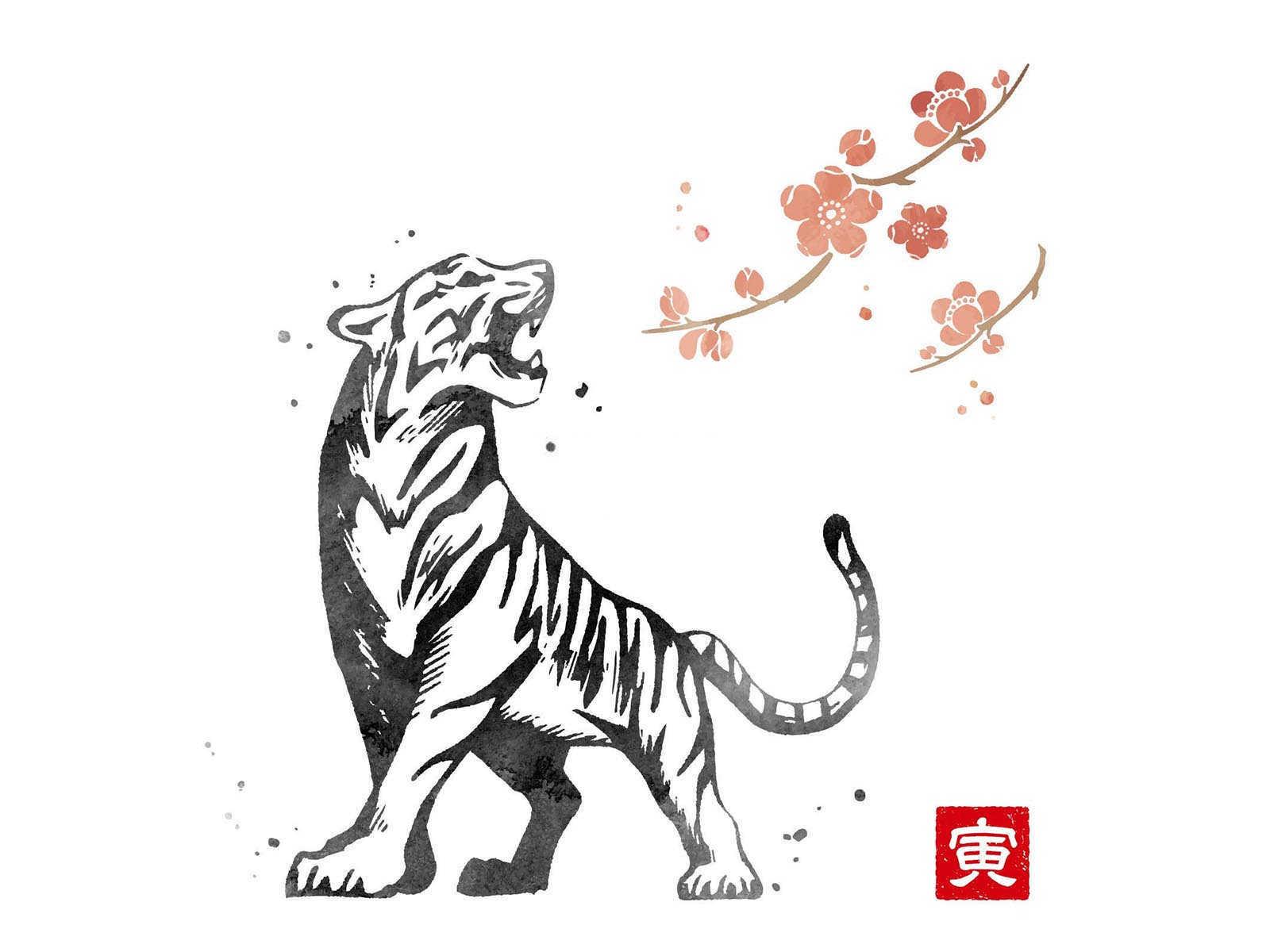 属鸡的人容易得什么病？一篇文章带你了解！